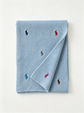 Embroidered Short Knit Scarf